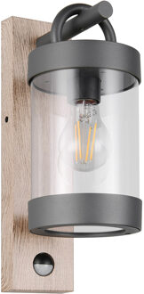 LED Tuinverlichting - Wandlamp Buitenlamp - Trion Bansi - E27 Fitting - met Bewegingssensor - IP44 - Bruin - Aluminium