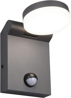 LED Tuinverlichting - Wandlamp Buitenlamp - Trion Nuri - 7.5W - Aanpasbare Kleur - Spatwaterdicht IP44 - Mat Antraciet - Bewegingssensor - Aluminium Zeer Warm Wit;Warm wit;Natuurlijk wit