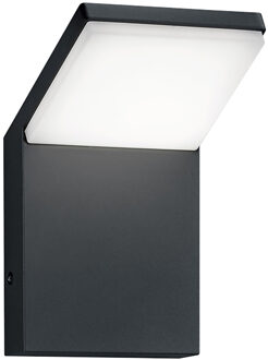 LED Tuinverlichting - Wandlamp Buitenlamp - Trion Pearly - 8W - Warm Wit 3000K - Waterdicht IP54 - Mat Antraciet - Grijs