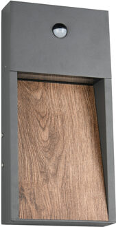 LED Tuinverlichting - Wandlamp Buitenlamp - Trion Selman - 11W - Warm Wit 3000K - Spatwaterdicht IP44 - Bewegingssensor - Bruin - Aluminium