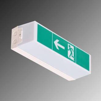 LED-veiligheidslamp C-Lux Standaard, enkele batterij wit RAL 9003, groen