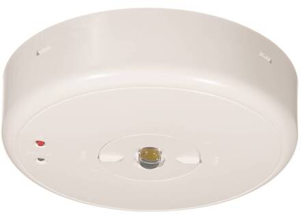 LED veiligheidslamp S-Lux standaard plafondopbouw wit RAL 9003