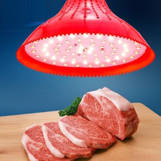 Led vlees verse lamp wit en rood / 24W