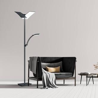 LED vloerlamp Andy, 3-lamps, antraciet, CCT, dimmer antraciet mat geanodiseerd