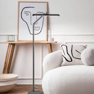 LED vloerlamp Beba, antraciet, hoogte 110 cm, CCT, dimmer