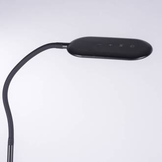 LED vloerlamp Kelly, CCT dimbaar zwart