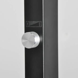 LED vloerlamp Logan Basic, zwart, 6000 lm, dimbaar zwart, wit
