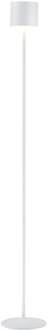 LED Vloerlamp - Musterring Marisa - 1 Lichtpunt van 3 Watt - Dimbaar - Aanpasbare Lichtkleur - Hoogte Aanpasbaar - Geheugenfunctie - Nachtlamp - Afstandsbediening - Mat Wit - Metaal Zeer Warm Wit;Warm wit;Natuurlijk wit