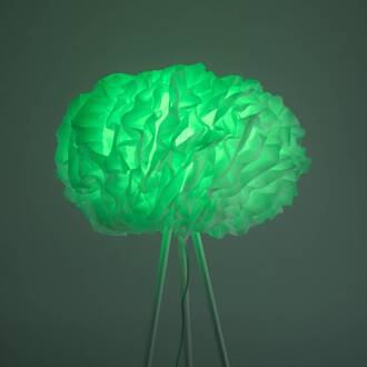 LED vloerlamp Naomi app CCT RGB wit