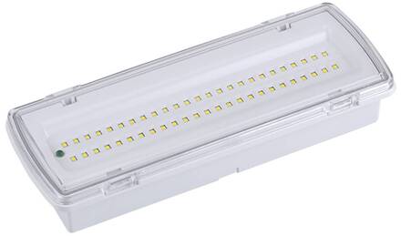 LED vluchtwegverlichting Wasen inbouw opbouw, IP65 4000K wit