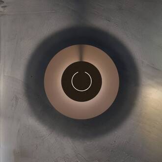 LED wandlamp DoppioZero, roze/bruin, Ø 30 cm oudroze, bruin