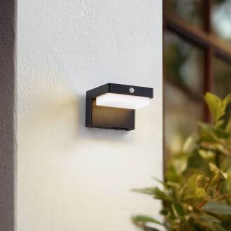 LED wandlamp Eleazar op zonne-energie, zwart, sensor, dimbaar zwart, wit
