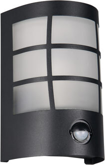 LED Wandlamp - Trion Vynor - 1 Lichtpunt tot 25 Watt - E27-fitting - Bewegingssensor - IP44 - Mat Zwart - Roestvaststaal