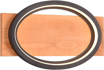 LED Wandlamp - Wandverlichting - Trion Bara - 16W - Warm Wit 3000K - Dimbaar - Rechthoek/Ovaal - Mat Zwart - Metaal