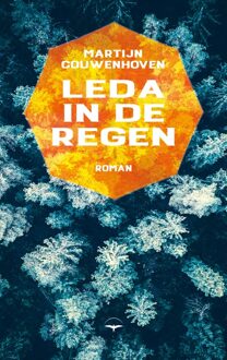 Leda in de regen - Martijn Couwenhoven - ebook