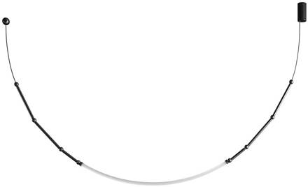 Leda LED hanglamp IP65 1-lamp zwart zwart, wit