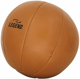 Lederen Medicine Ball 5kg