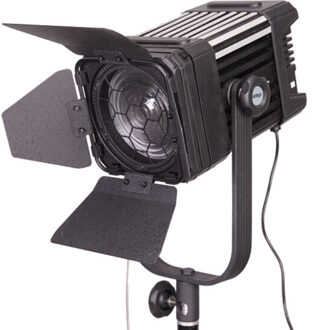 Ledgo D600 bi-color fresnel (D60)