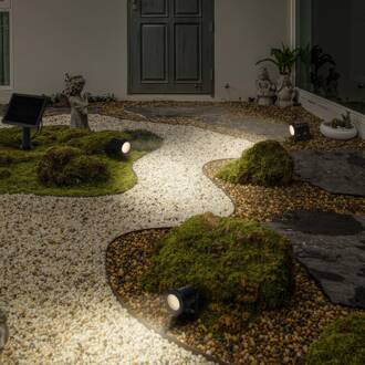 Ledvance LED grondspies lamp Endura Hybrid Naut Spike 2W zwart