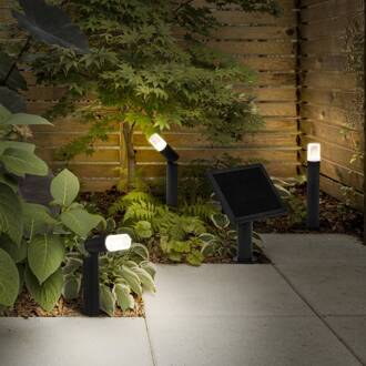 Ledvance LED grondspies lamp Endura Hybrid Rota Spike 1W zwart