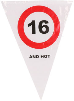 Leeftijd verjaardag vlaggenlijn met 16 jaar stopbord opdruk 5 meter - Vlaggenlijnen Wit