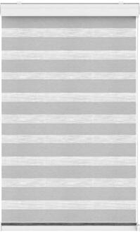 Leen Bakker - Fenstr Duo-rolgordijn Licht - 140x240 Cm - Polyester - Grijs