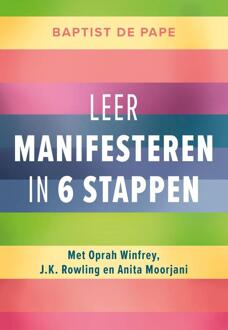 Leer manifesteren in 6 stappen -  Baptist de Pape (ISBN: 9789043938013)