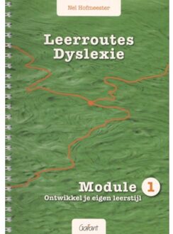 Leerroutes dyslexie / Module 1: ontwikkel je eigen leerstijl - Boek Nel Hofmeester (9044132032)