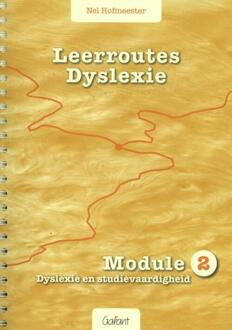 Leerroutes Dyslexie / Module 2 dyslexie en studievaardigheid - Boek Nel Hofmeester (9044132040)