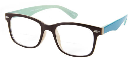 Leesbril bifocaal INY Gatsby G51900 bruin/turkoois +1.00