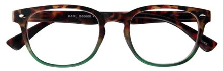 Leesbril INY Karl G60600 havanna groen +1.00