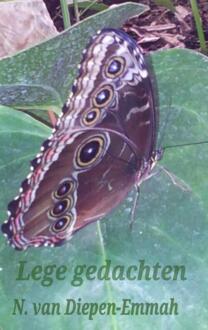 lege gedachten - Boek natascha van diepen emmah (9461938780)