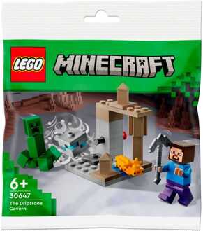 LEGO Minecraft - De Druipsteengrot Constructiespeelgoed
