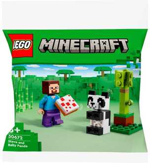 LEGO Minecraft - Steve en babypanda Constructiespeelgoed
