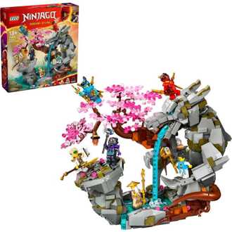 LEGO Ninjago - Altaar van de Stenen Draak Constructiespeelgoed