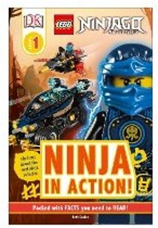 LEGO NINJAGO Ninja in Action