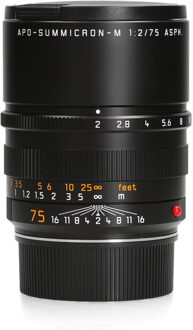 Leica Leica 75mm F2.0 APO-Summicron-M ASPH (11637)