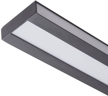 Leicy LED plafondlamp RGBW Tuya 8cm zwart, wit