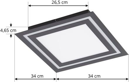 Leicy LED plafondlamp RGBW zwart 34cm zwart, wit