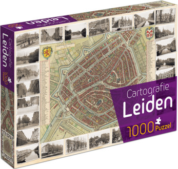 Leiden Cartografie (1000)