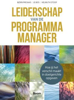 Leiderschap Van De Programmamanager