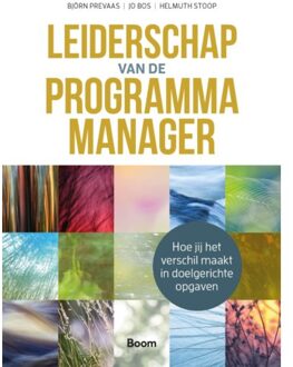Leiderschap Van De Programmamanager