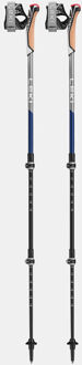 LEKI Traveller Carbon Nordic Wandelstokken Zwart - One size