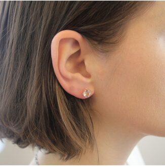 Lelie oorbellen - Oostenrijks kristal Wit en roségoud