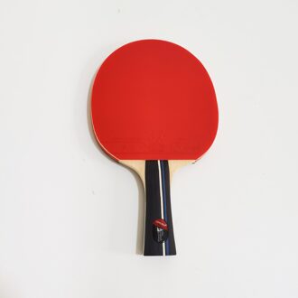 Lemuria Y40 Professionele Tafeltennis Racket Met Ittf Goedgekeurd Puistjes-In Rubber Lange Handvat Ping Pong Bat