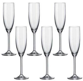 Leonardo Daily champagneglas - 6 stuks Transparant