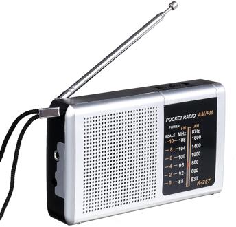 Leory Draagbare Retro Mini Fm/Fm Radio Speaker Dual Antenne Muziekspeler 3.5Mm Jack 88-108Mhz fm 530-1600Khz Voor Aa Batterys zilver