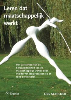 Leren dat maatschappelijk werkt - Boek Lies Schilder (9059727169)