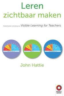 Leren zichtbaar maken - Boek John Hattie (946118204X)