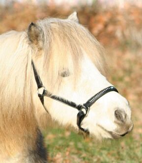 Lerenhalster Diamond Zwart - Paardenhalster - Cob